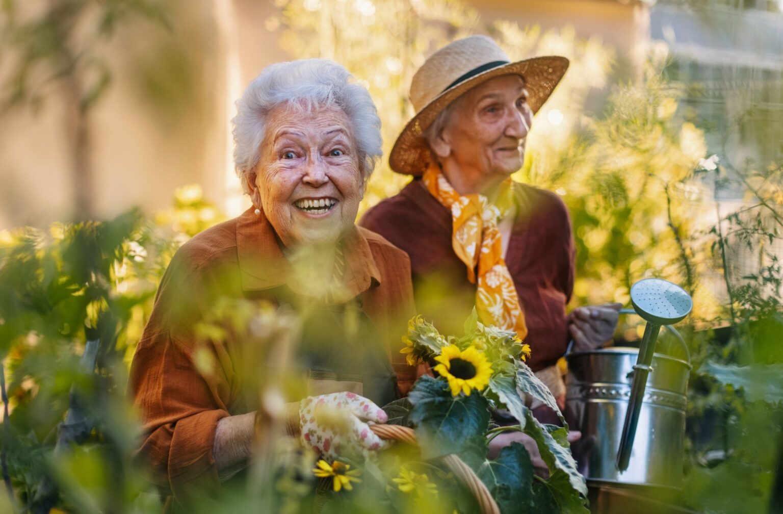 Engaging Activities for Seniors in Assisted Living